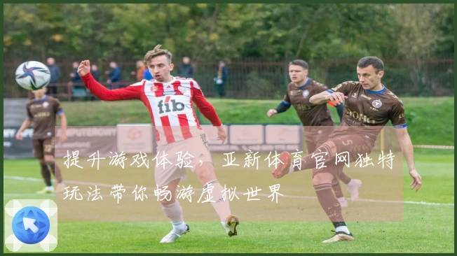 提升游戏体验，亚新体育官网独特玩法带你畅游虚拟世界