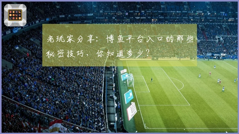 老玩家分享：博鱼平台入口的那些秘密技巧，你知道多少？