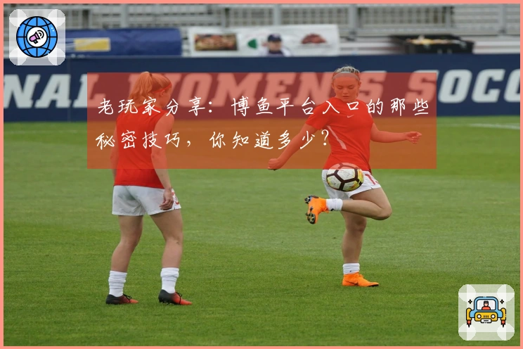 老玩家分享：博鱼平台入口的那些秘密技巧，你知道多少？